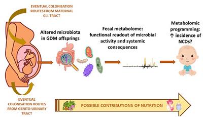 Metabolomic profiles and microbiota of GDM offspring: The key for future perspective?